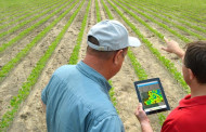 סקר ארצי על השימוש בטכנולוגיות חקלאות מדייקת בקרב חקלאי ישראל