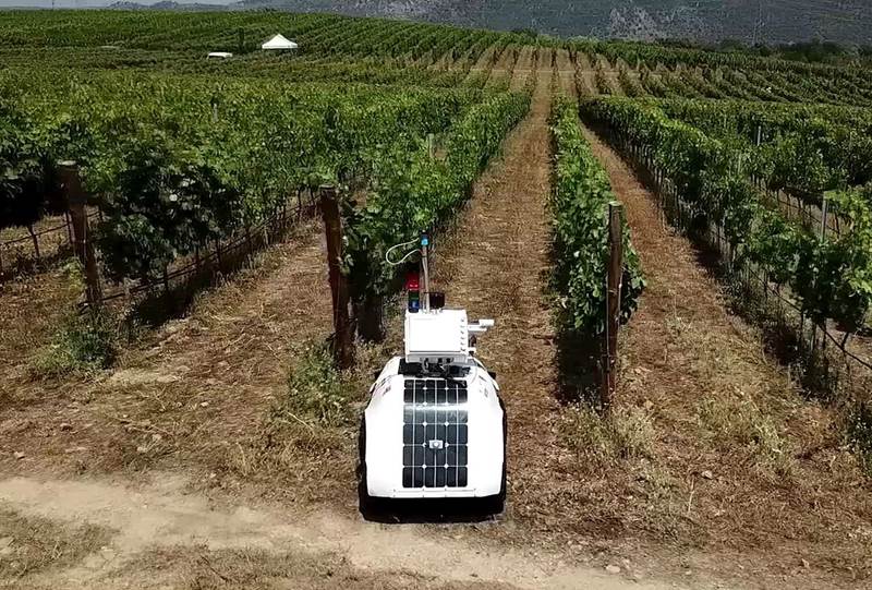 רובוט חקלאי VineScout