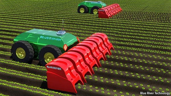 כך רואים אנשי Blue River Technology את גידול הירקות בעתיד. הרובוט יתפוס פיקוד
