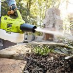 Ryobi Fogger P2850
